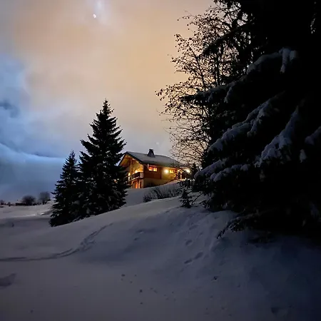 Grand Au Praz De Lys 木屋 塔南日