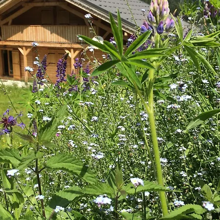 木屋 Grand Au Praz De Lys *